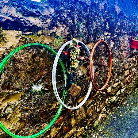 A Casa Di Nonna Elza Lejlighed *